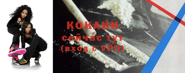 гашик Верея