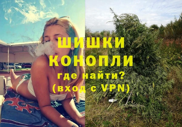 мдпв Верхний Тагил