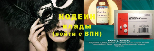 гашик Верея