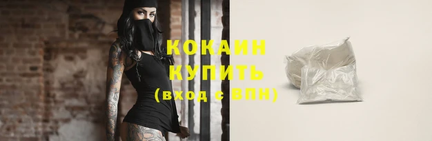 мдпв Верхний Тагил