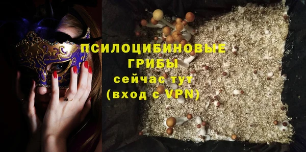 мдпв Верхний Тагил