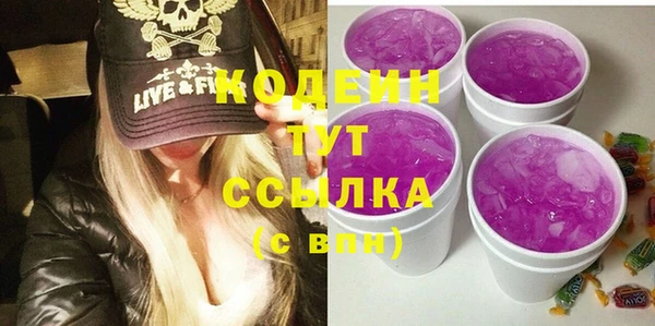гашик Верея