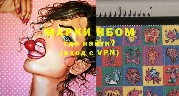 гашик Верея