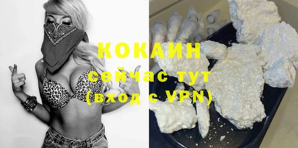мдпв Верхний Тагил