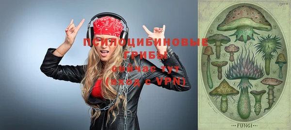 гашик Верея