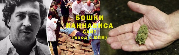 мдпв Верхний Тагил