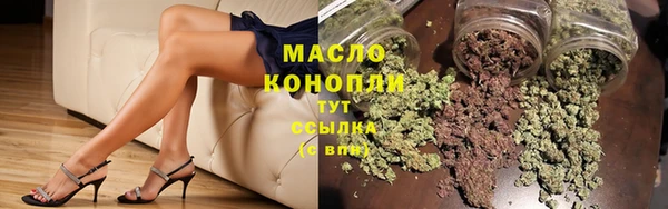 гашик Верея
