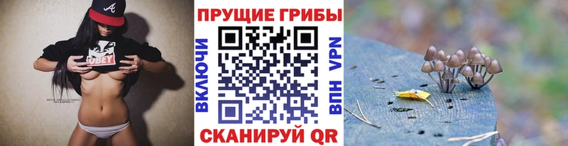 Галлюциногенные грибы GOLDEN TEACHER Салават